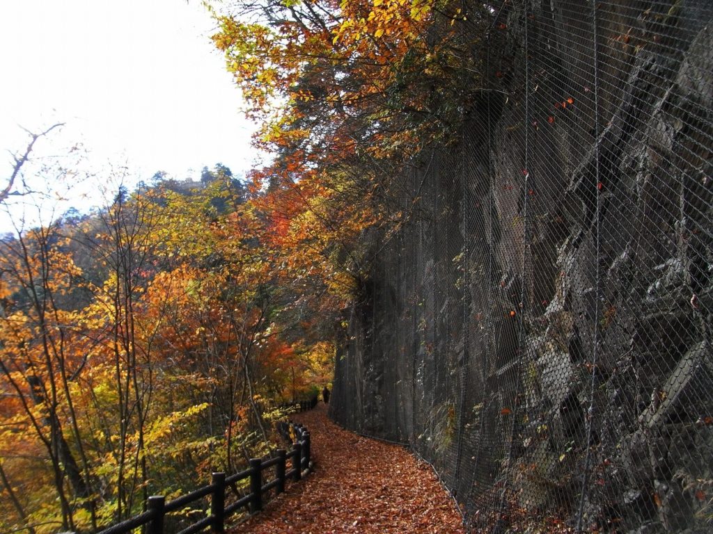 関東の日帰りハイキング 登山 で行ける山 厳選5 山登りに行こう 旅行達人 必ず役立つ旅の情報館