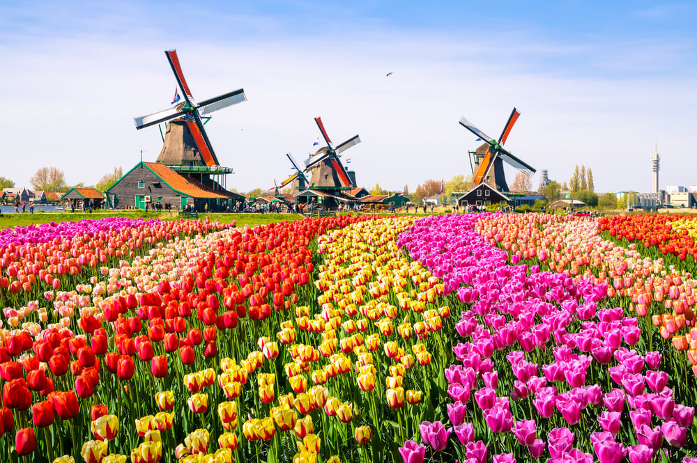オランダ旅行は実は危険？治安と最低、注意しておきたい9つのこと