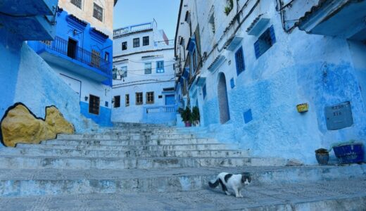 海外旅行初心者におすすめ!!モロッコツアーを徹底解説!!